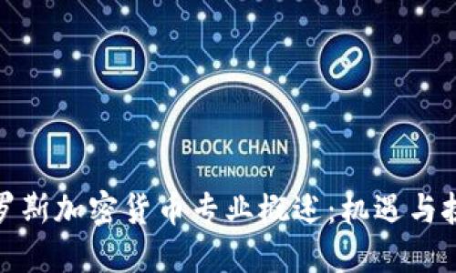 俄罗斯加密货币专业概述：机遇与挑战