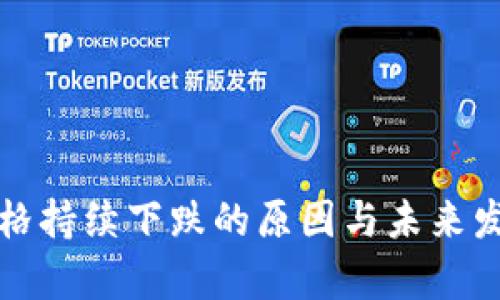加密货币价格持续下跌的原因与未来发展趋势分析