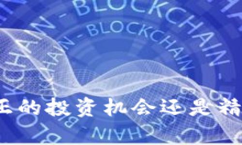 加密货币是真正的投资机会还是精心设计的骗局？