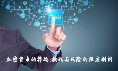 加密货币的弊处：挑战与风险的深度剖析