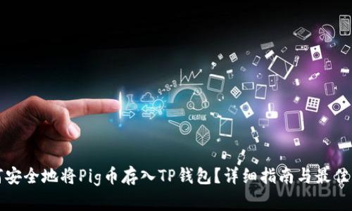 如何安全地将Pig币存入TP钱包？详细指南与最佳实践