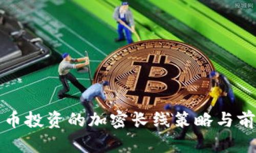 数字货币投资的加密长线策略与前景分析
