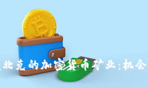 探索魁北克的加密货币矿业：机会与挑战