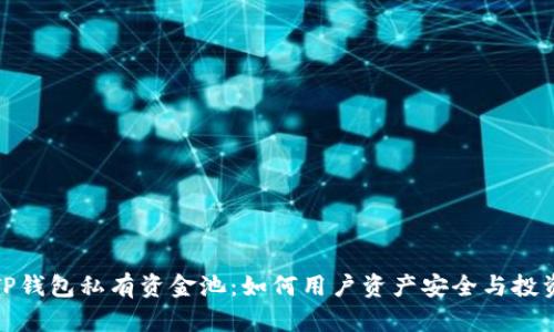 揭秘TP钱包私有资金池：如何用户资产安全与投资回报