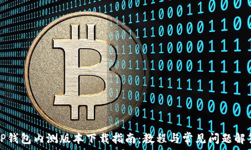   
TP钱包内测版本下载指南：教程与常见问题解答
