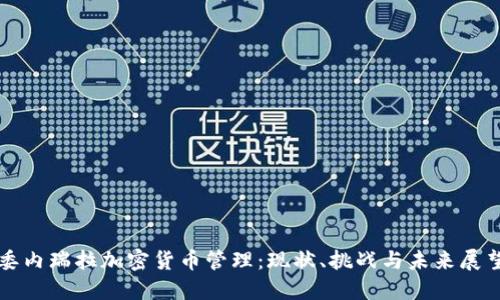 委内瑞拉加密货币管理：现状、挑战与未来展望
