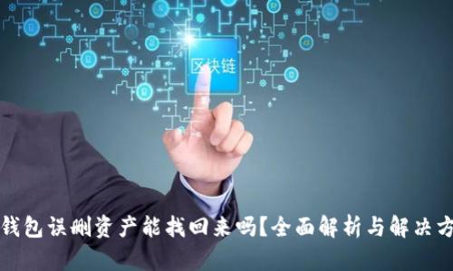 TP钱包误删资产能找回来吗？全面解析与解决方案