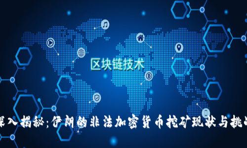 深入揭秘：伊朗的非法加密货币挖矿现状与挑战