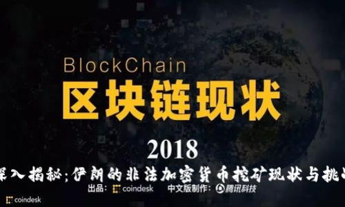 深入揭秘：伊朗的非法加密货币挖矿现状与挑战