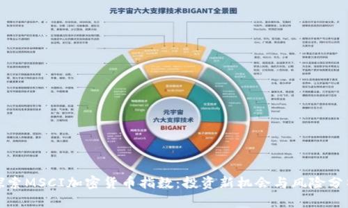 探索MSCI加密货币指数：投资新机会与风险分析