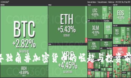 2023年独角兽加密货币的崛起与投资前景分析