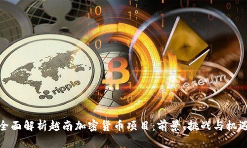 全面解析越南加密货币项目：前景、挑战与机遇