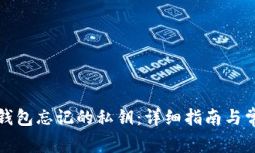 如何找回TP钱包忘记的私钥：详细指南与常见问题解答