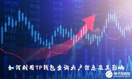 如何利用TP钱包查询大户信息及其影响
