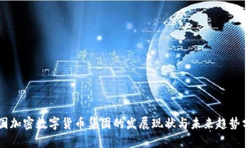 中国加密数字货币集团的发展现状与未来趋势分析