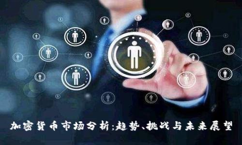 加密货币市场分析：趋势、挑战与未来展望