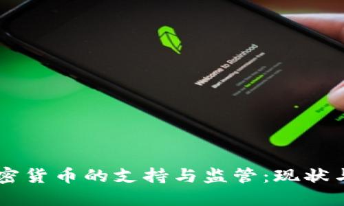 美国对加密货币的支持与监管：现状与未来展望